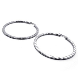 Ring Titanium Oorbellen