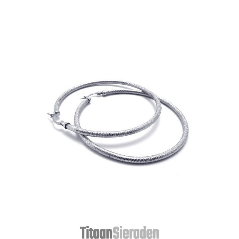 Ring Titanium Oorbellen