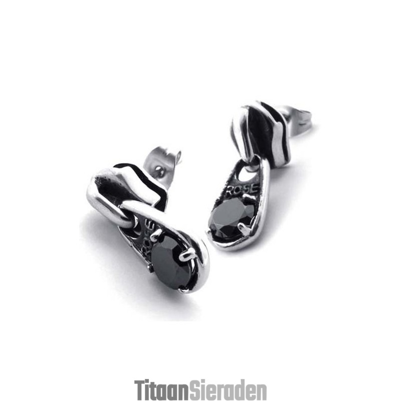 Zwarte Diamanten Titanium Oorbellen Zwarte Diamanten Titanium Oorbellen