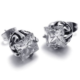 Diamanten Titanium Oorbellen