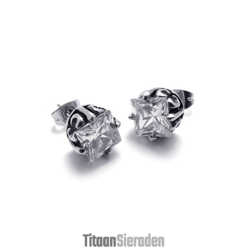 Diamanten Titanium Oorbellen