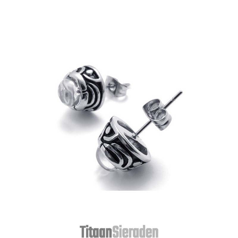 Diamanten Titanium Oorbellen Diamanten Titanium Oorbellen