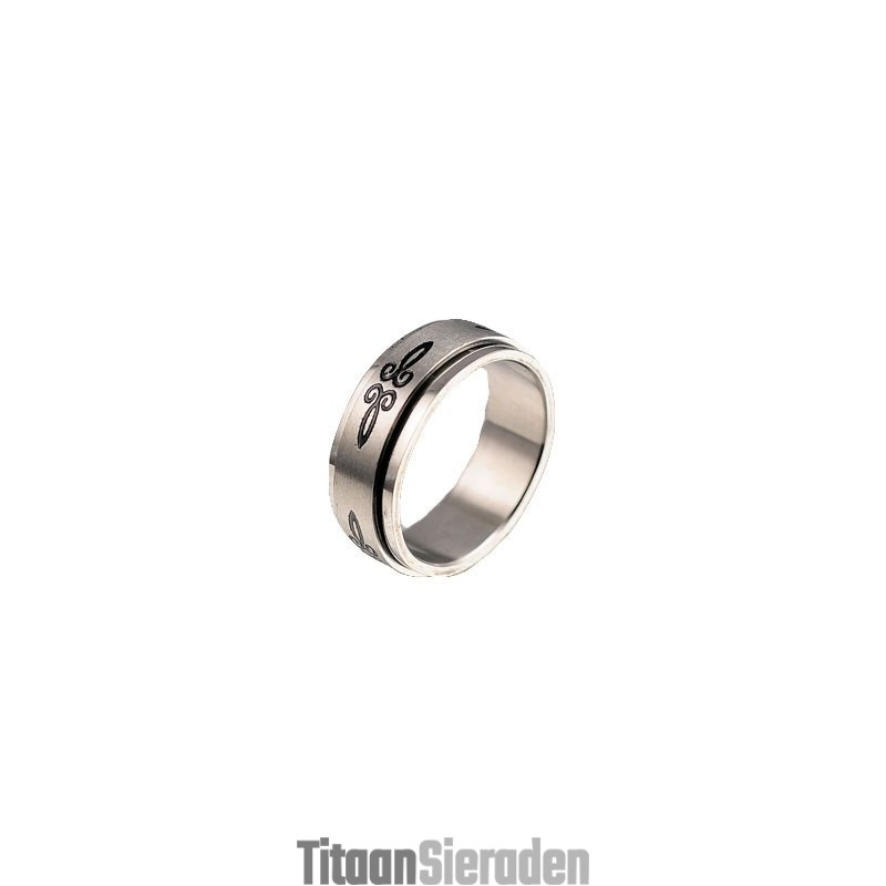 Titanium Ring Voor Heren Titanium Ring Voor Heren
