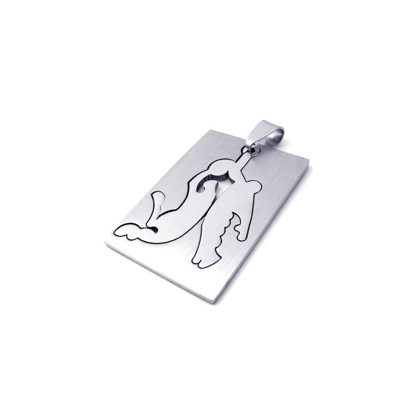 Titanium Basketbalhanger Titanium Basketbalhanger