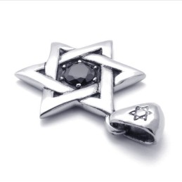 Titanium Geluksster Hanger Met Zwarte Zirkoon