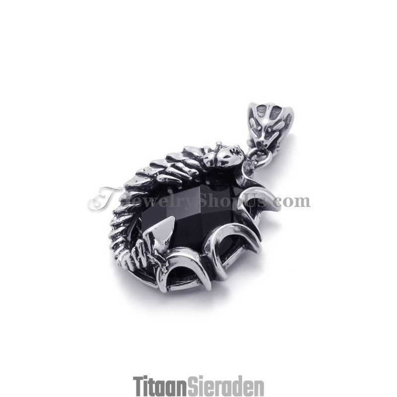 Elegante Zwarte Zirkoon Titanium Hanger