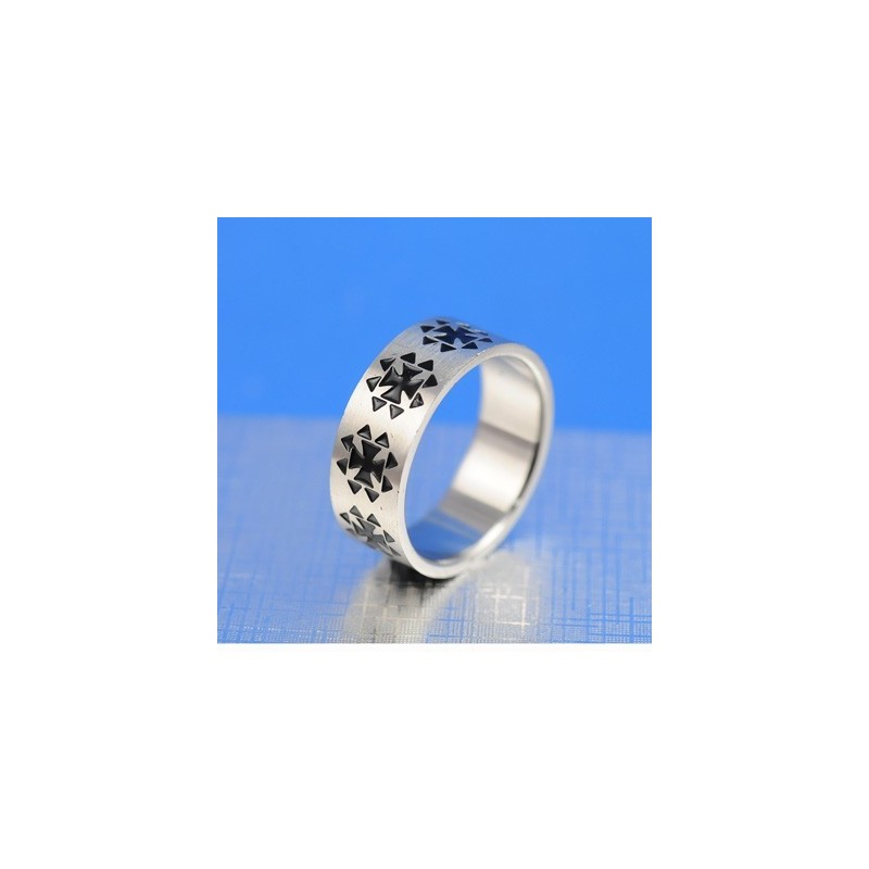Prachtige Titanium Herenring