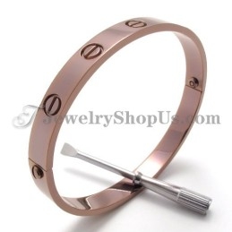 Elegante Roségouden Titanium Armband Voor Dames