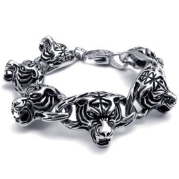 Professioneel Ontwerp, Kleurbriljantie, Wereldwijd Bekende Titanium Armband