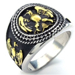 Modern Ontwerp, Kleurbriljantie, Betrouwbare Kwaliteit Titanium Ring