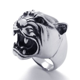 Vakkundige Vervaardiging, Kleurbriljantie, Titanium Ring Van Superieure Kwaliteit