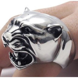 Vakkundige Vervaardiging, Kleurbriljantie, Titanium Ring Van Superieure Kwaliteit