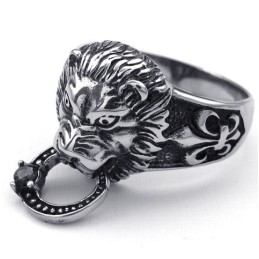 Geavanceerde Technologie Delicate Kleuren Stabiele Kwaliteit Titanium Ring