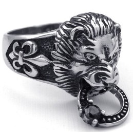 Geavanceerde Technologie Delicate Kleuren Stabiele Kwaliteit Titanium Ring