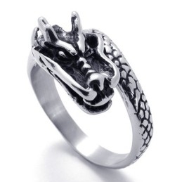 Modern Design, Delicate Kleuren, Stabiele Kwaliteit Titanium Ring