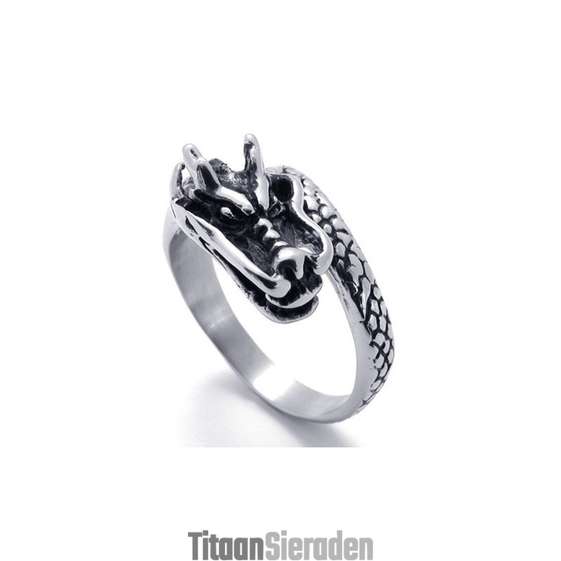 Modern Design, Delicate Kleuren, Stabiele Kwaliteit Titanium Ring