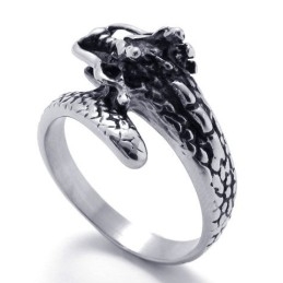 Modern Design, Delicate Kleuren, Stabiele Kwaliteit Titanium Ring