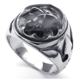 Behendig Ontwerp, Delicate Kleuren, Hoogwaardige Titanium Ring