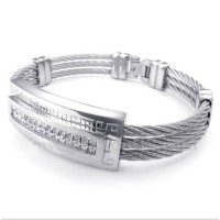 Titanium Slavenarmbanden